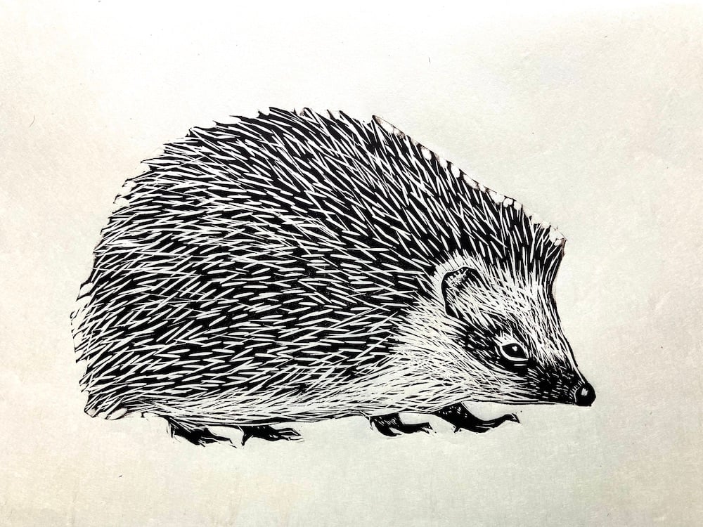 Hedgehog Lino Cut