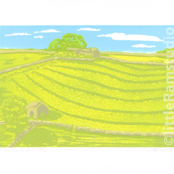 Summer Dales - Original Limited Edition Linocut Print.