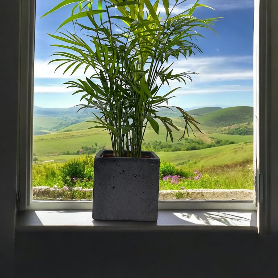 Square Graphite Concrete Plant Pot - Neutral Dark Grey Pot Cover (cpp17)