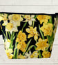 Makeup bags yellow daffodils - Image 3