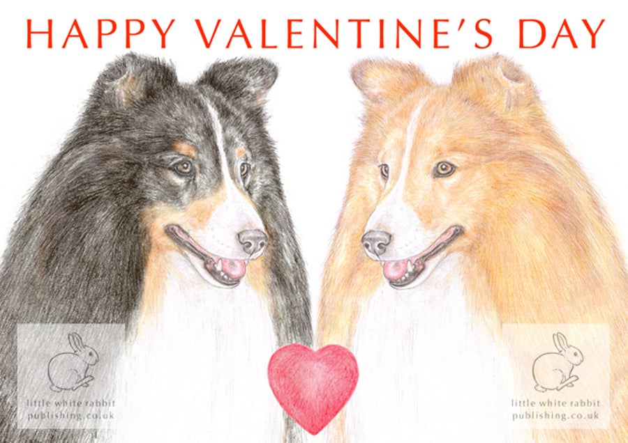 Shetland Sheepdog - Valentine Card