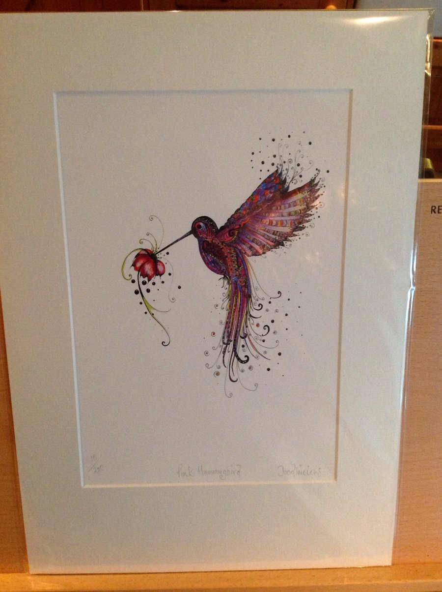 A4 Pink Hummingbird print, mounted and ready to frame