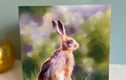 Greeting Cards 