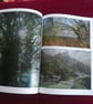 A Welsh Dreaming - a portfolio of words and images 2026 - Image 5