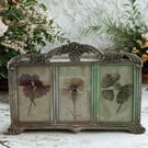 Pressed Dianthus in a vintage silver plated triple frame