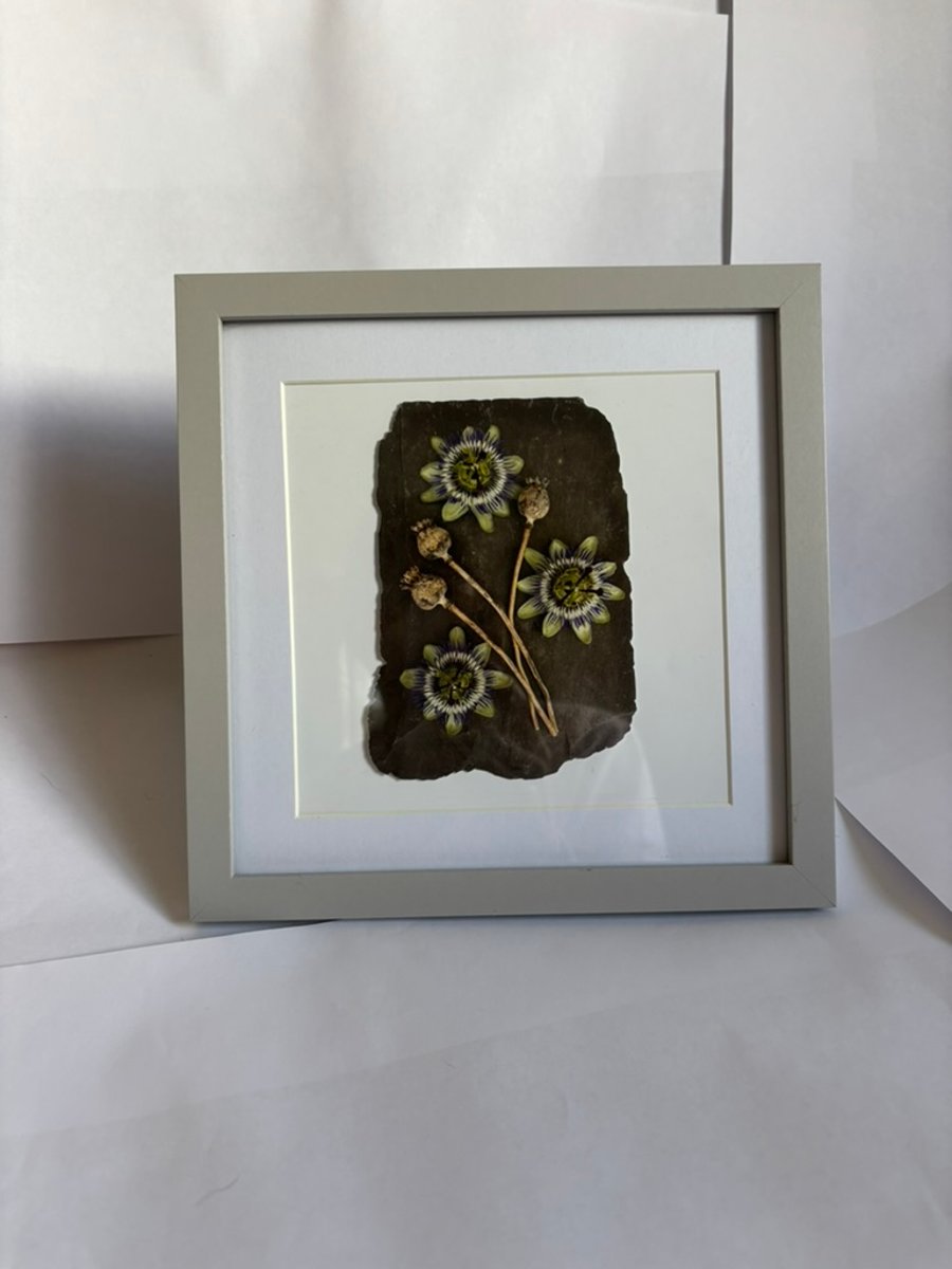 Art Print Habitat Frame