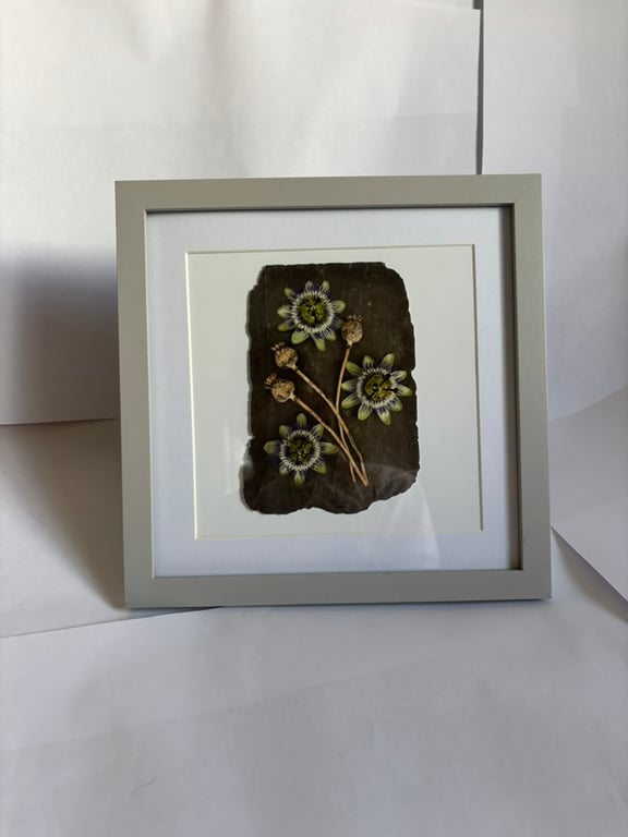 Art Print Habitat Frame