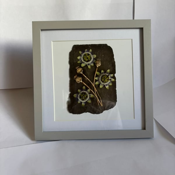 Art Print Habitat Frame