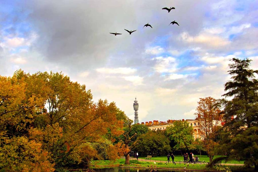 Autumn Trees Regent's Park London England Photograph Print