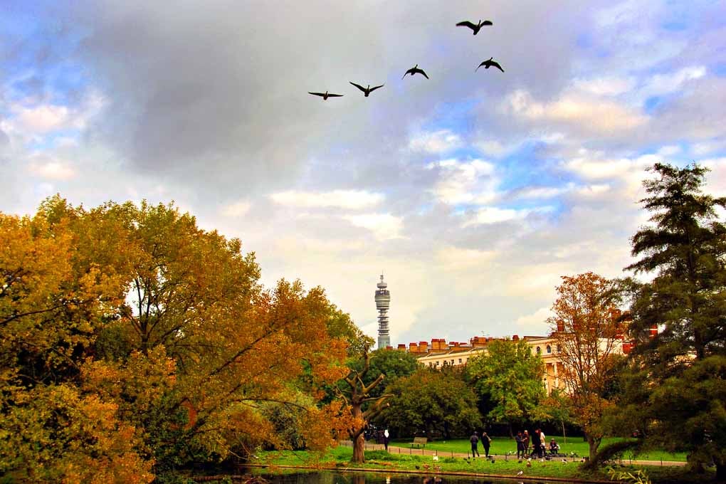 Autumn Trees Regent's Park London England Photograph Print