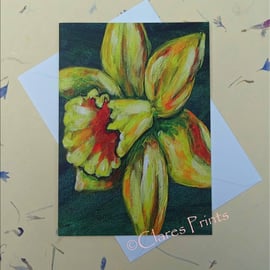 Daffodil Blank Greeting Card From my Original Acrylic Painting
