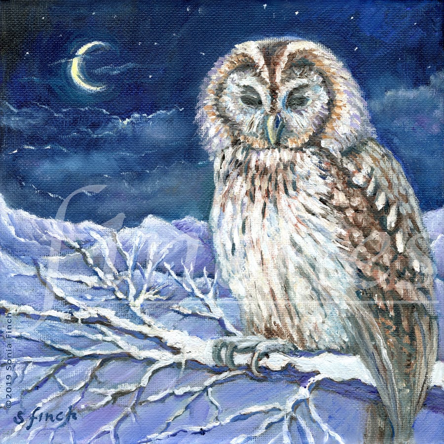 Spirit of Owl - Limited Edition Giclée Print