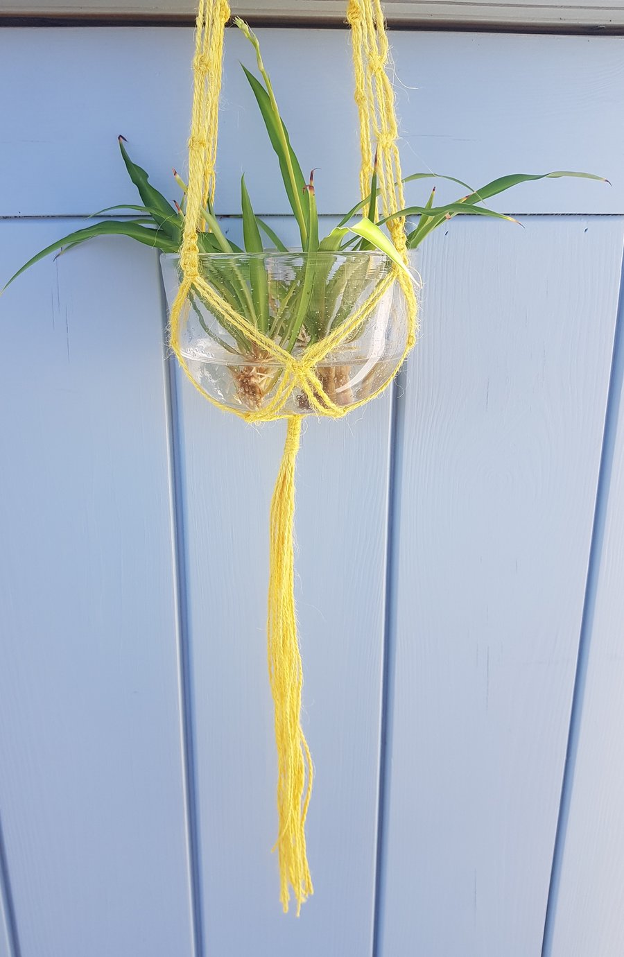 Seconds Sunday rustic macrame plant holder hanging basket with wooden beads