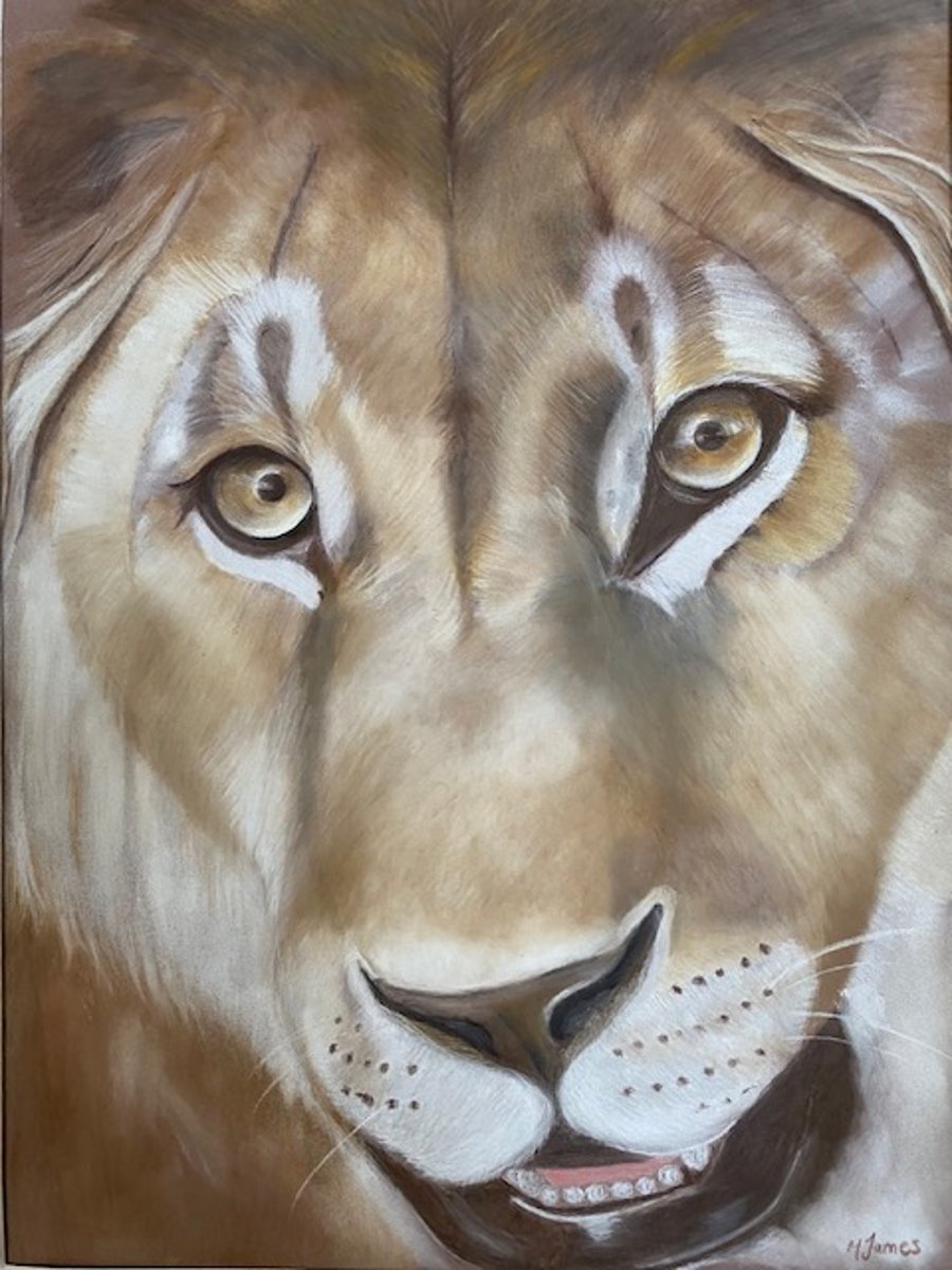 Lion pastel drawing reproduction print