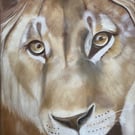 Lion pastel drawing reproduction print