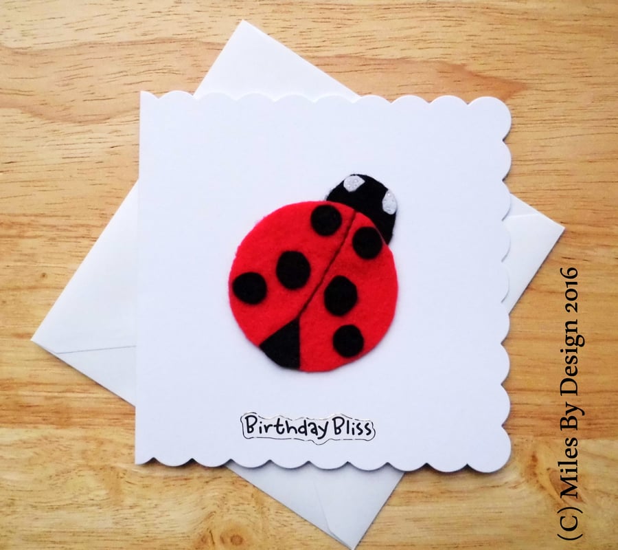 Red Felt Ladybird Birthday Card