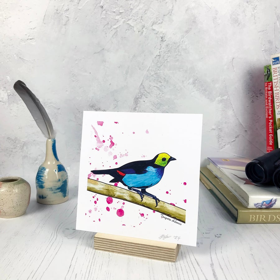 Paradise Tanager Bird Print