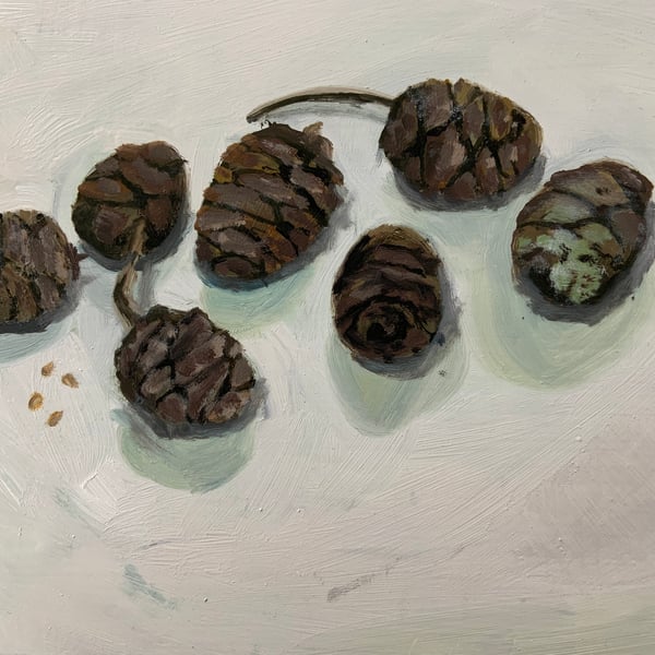Oil Painting on board, Wellingtonia Pine Cones, original oil painting