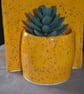 bookends summer sale - Image 4