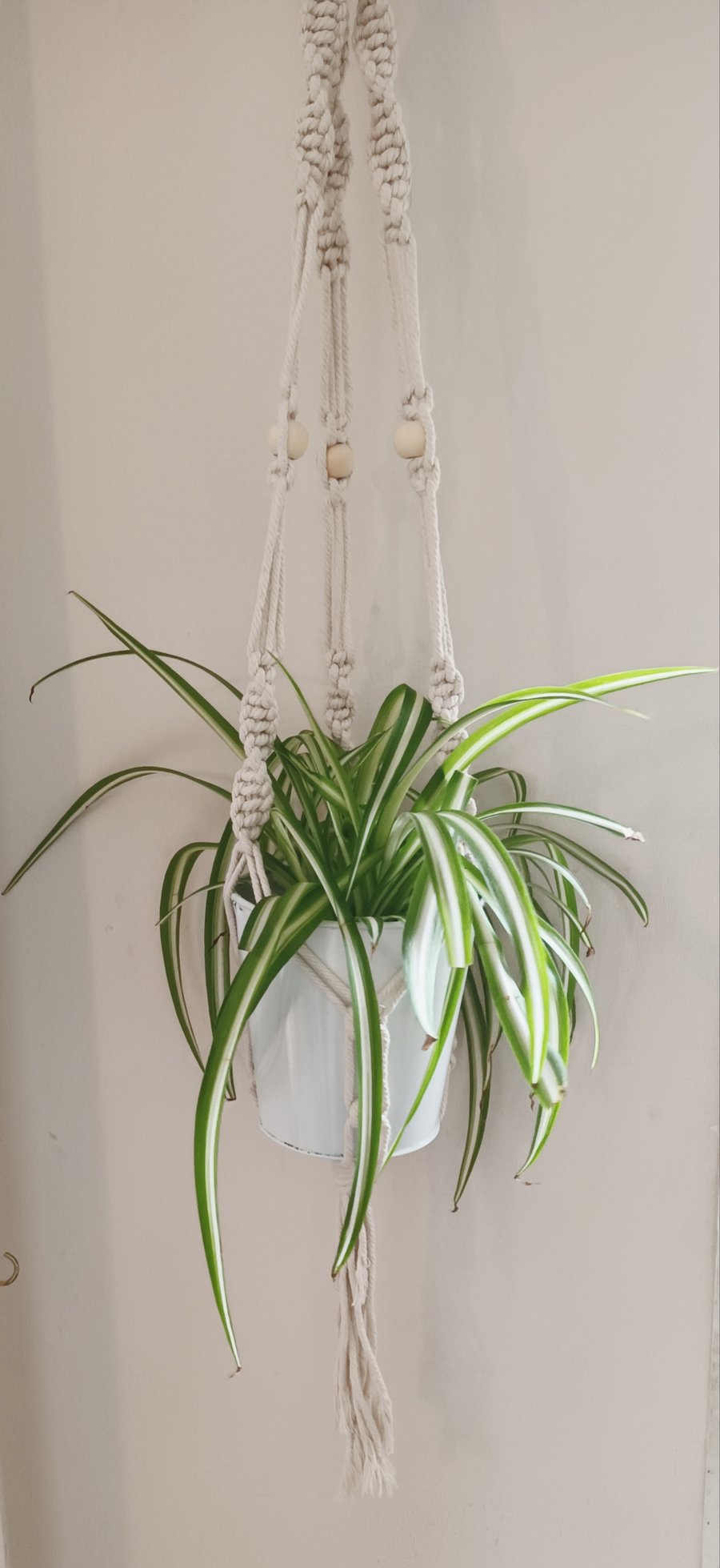 Boho Macramé hanging plant holders 