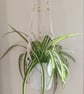 Boho Macramé hanging plant holders  - Image 1