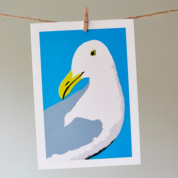 Douglas the Gull greetings card