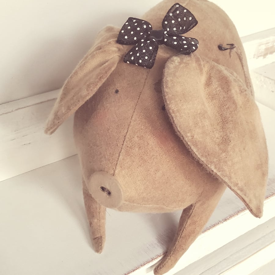 Biggie Piggie the Primitive Pig