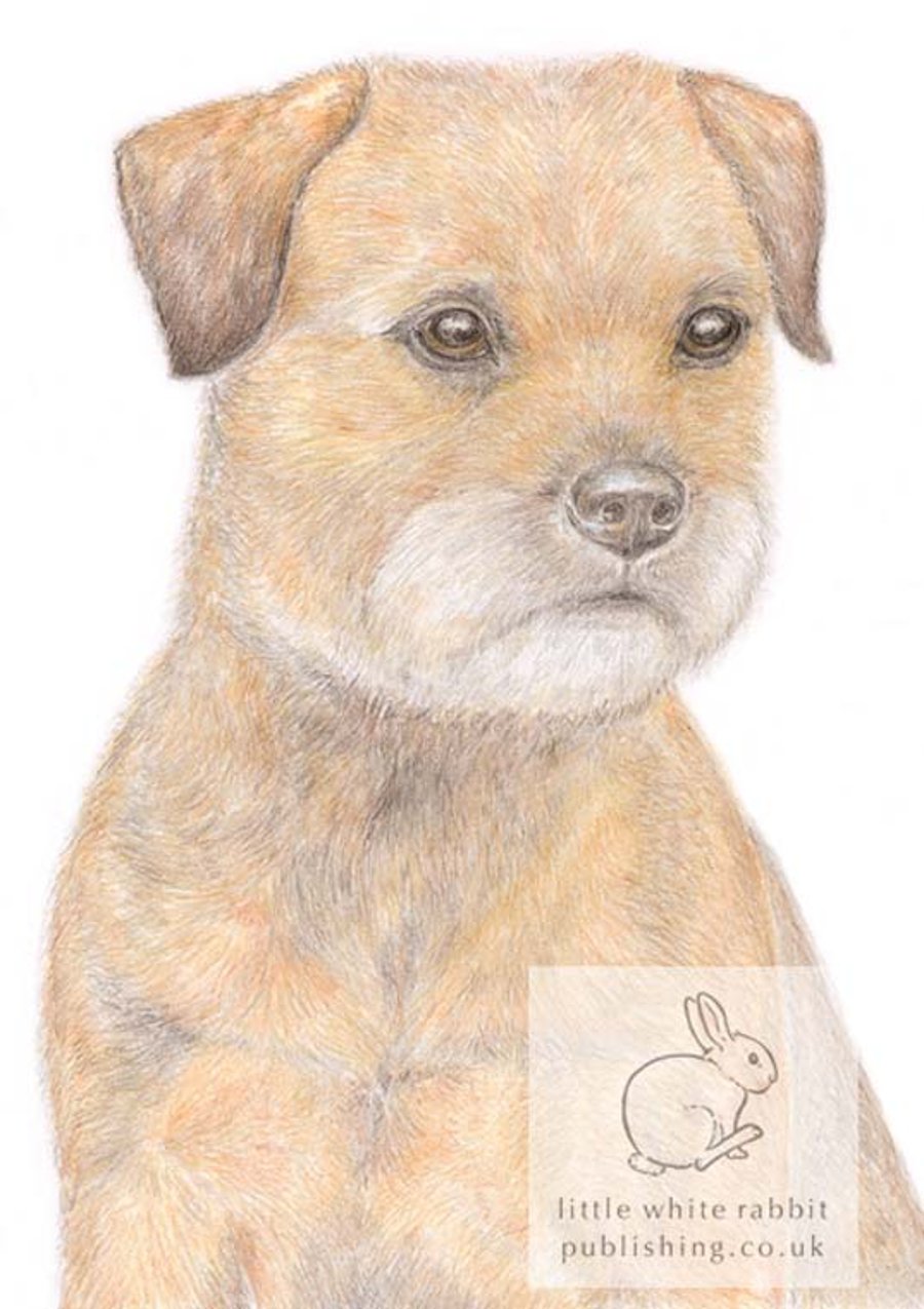 Bertie the Border Terrier - Blank Card