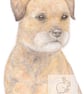 Bertie the Border Terrier - Blank Card - Image 1