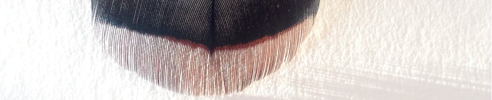 HAVE A THING ABOUT ME