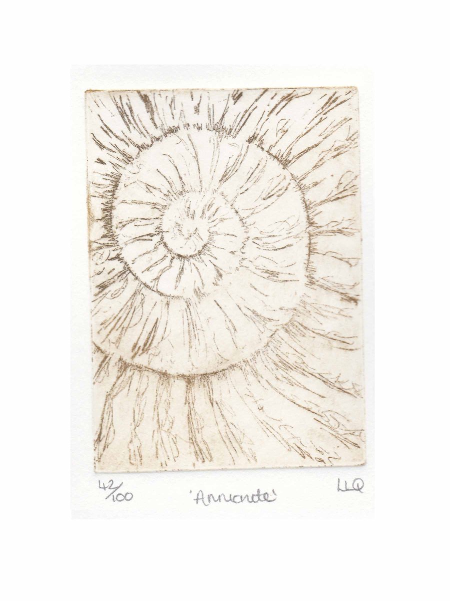 Etching no.42 of an ammonite fossil in an edition of 100