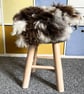 Natural wool felted seat-pad and or a mat for a cat or a small dog  