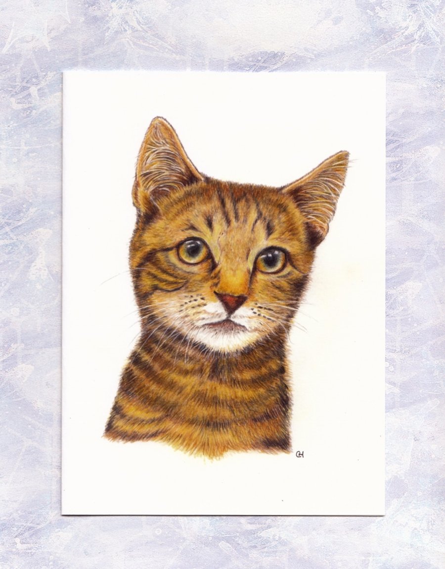 SALE - now 2.50 - Cat Greetings Card, Kitten Card