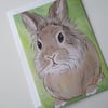 Bunny Rabbit Blank Greetings Card Lionhead Bunny Picture