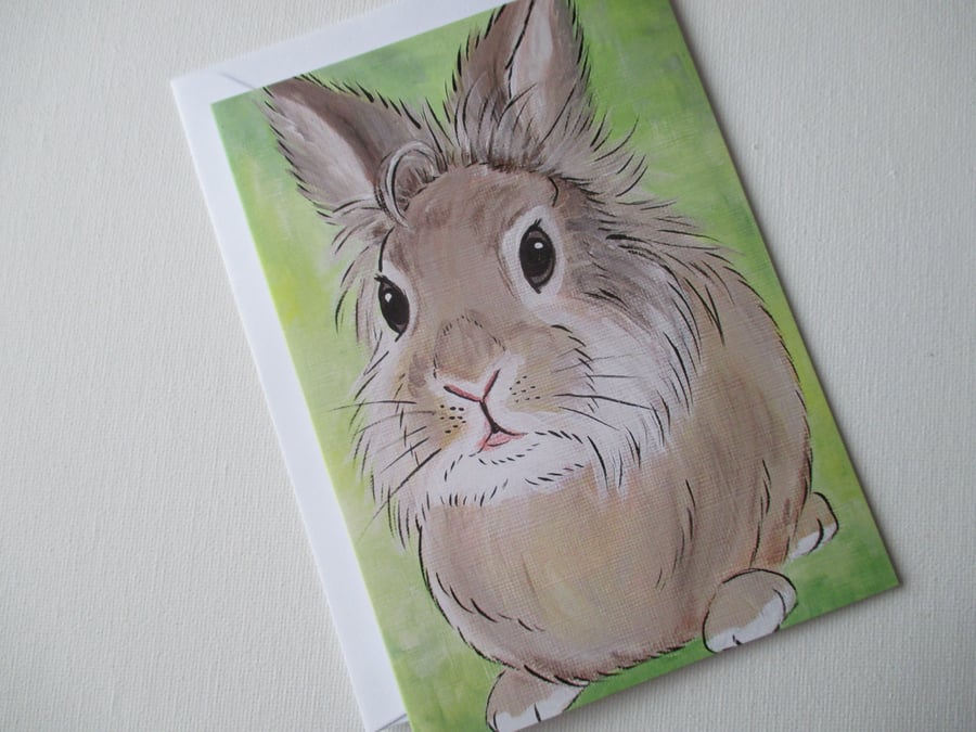 Bunny Rabbit Blank Greetings Card Lionhead Bunny Picture