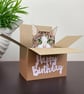 Tabby Cat Card; Birthday or personalised. Cat in a box gift card holder - Image 9