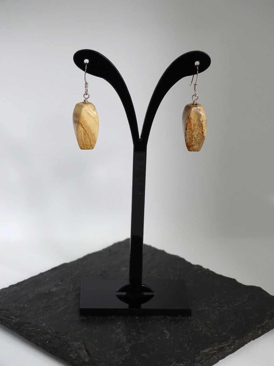 Picture Jasper Earrings 