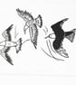 Three Seagulls - lino print picture - Image 1