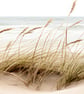 Coastal Lampshade Beach Lampshade Seaside Lighting Lampshade Neutral Lampshade - Image 2