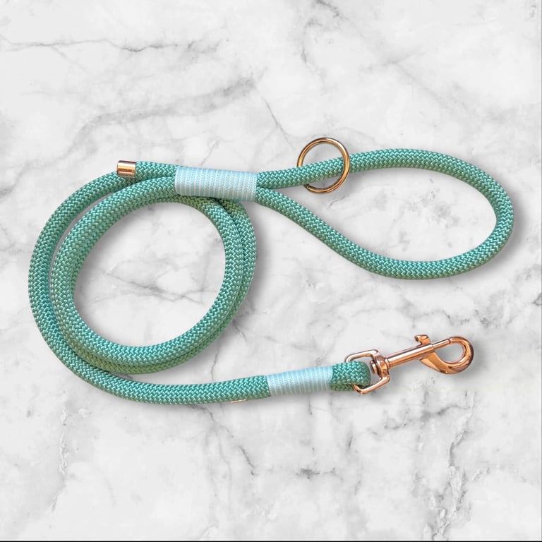 Handmade Sea Green Paracord Dog Lead with Rose Gold Hardware
