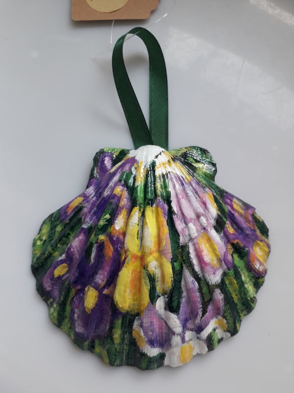 Handpainted "mixed Iris" king scallop shell Wall hanger 