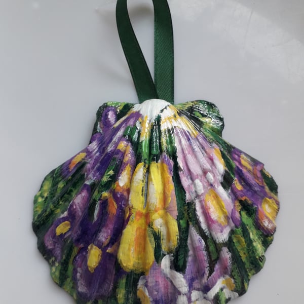 Handpainted "mixed Iris" king scallop shell Wall hanger 