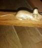 carved wooden oak mouse  : brings to life oak furniture