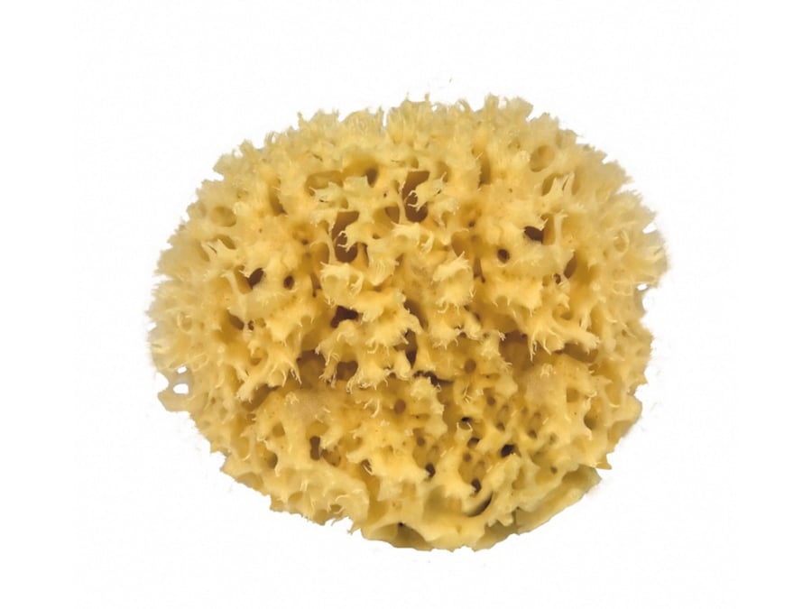 100% Natural Mediterranean Sponge, Medium
