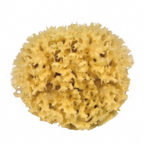 100% Natural Mediterranean Sponge, Medium