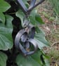 Metal Double Hanging Heart Garden Ornament, Rusty Garden Heart, Heart Garden - Image 4