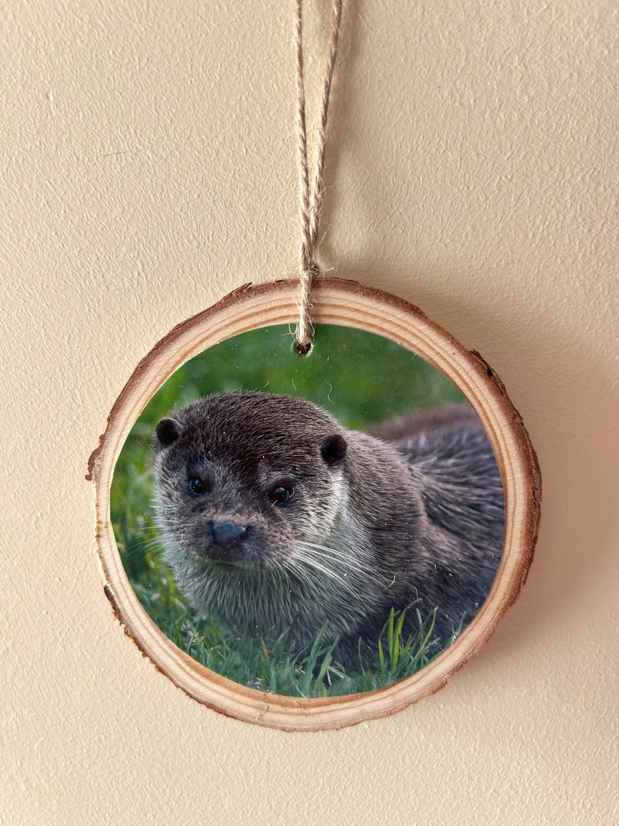 Otter Hanging Wood Slice Decoration