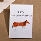 Funny birthday card 'hay it's your birthday'