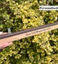 Wooden Wand Stand Display - Disney Inspired - Image 6