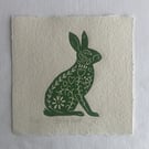 Spring Hare